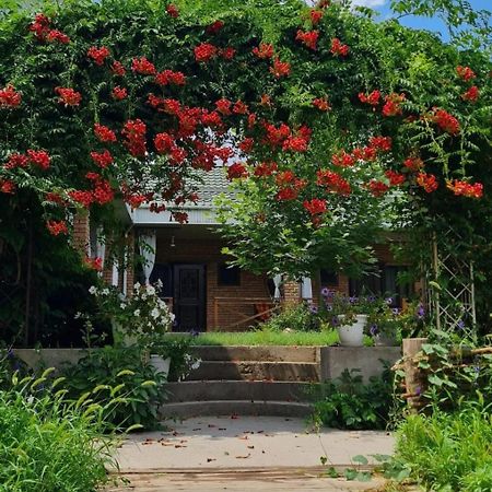 Arman Hotel Saryaghash Ngoại thất bức ảnh